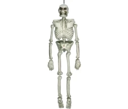 Lifesize Skeleton Plastic