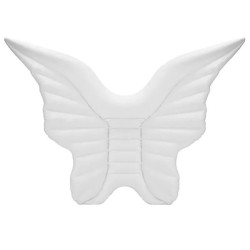 Fashion Angel Wings Inflatable Floating Row