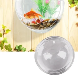 Wall-Mounted Fish Bowl