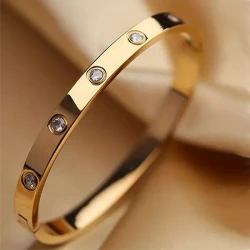 Titanium Steel Rhinestone Bangle