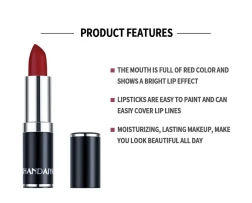 Waterproof Long Lasting Matte Lipstick