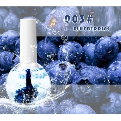 Nail Beauty Dried Flowers Nutrition Nail Treatment Oil