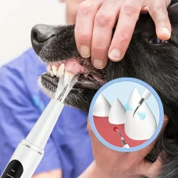 1pc Pet Electric Tooth Cleaner, 4 Modes to Remove Tooth Stains and Stones, 2 Cleaning Heads, USB Rechargeable Tooth Cleaner, Dental Care Tool, Dog Teeth Cleaning, Oral Cleaner with Light