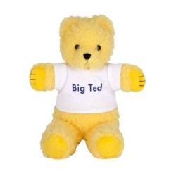 PLAY SCHOOL BIG TED BEANIE SOFT TOY