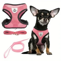 Reflective Pet Safety Harness & Leash Set