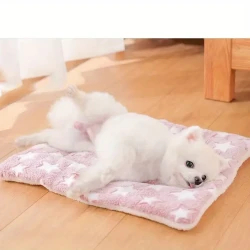 Pet Warm Thickened Mats