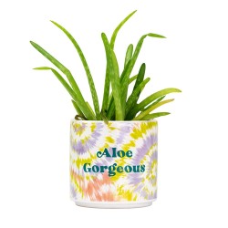 Bluerred Aloe Gorgeus Tie Dye Planter - Small