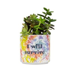 Blurred I Will Survive Tie Dye Planter - Small