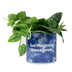 Blurred Let The Good Times Grow Tie Dye Planter - Medium