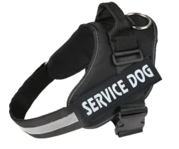 Personalized Dog Harness