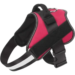 Ultimate Comfort No-Pull Dog Harness