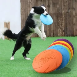 Interactive Durable Silicone Flying Disc Toy