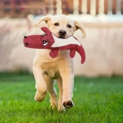 Crocodile Design Dog Toy