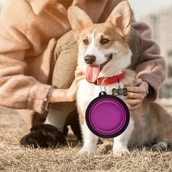 Travel-Friendly Pet Bowl