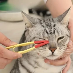 Pet Eye Care Brush