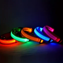 Illuminated Safety LED Dog Collar