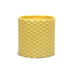 Disney Plant Pot : Winnie The Pooh - Honeycomb