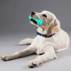 Durable Dog Toothbrush Molar Chew Stick