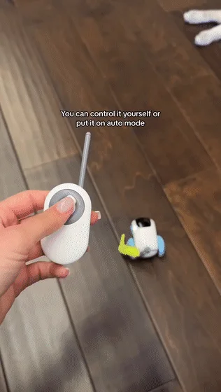 😻Automatic Cat Toy Car-Cat Toy