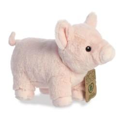 Eco Nation Pig Soft Toy