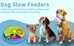 Slow Food Bowl Anti Choking Cat Bowl Dog