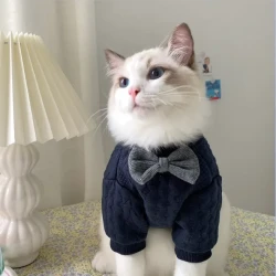 Warm And Cute Clothes For Pets Feet