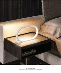 Oval Acrylic Lamp Touch Control