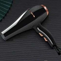 Professional Ionic Hair Dryer With Blue Light Technology,