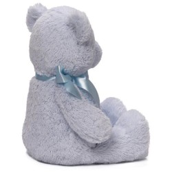 Bear : My First Teddy Blue - Large