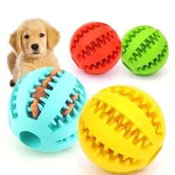 Interactive Molar Dog Toy