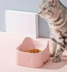 Ceramic bowl for pets