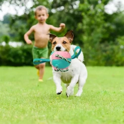 Interactive Dog Football Soccer Ball