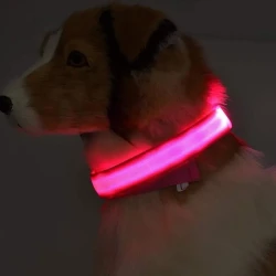 Nylon LED Luminous Pet Collar: Safety & Style for Night Walks