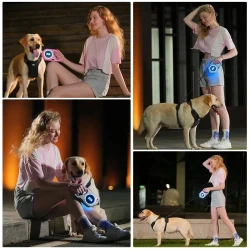 LED Light Automatic Retractable Dog Leash