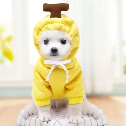 Cute Fruit Dog Clothes For Small Dogs Hoodies Winter