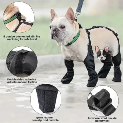 Waterproof Dog Shoes Adjustable