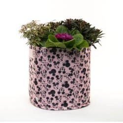 Eco Pot Fabric : Mickey & Minnie Mouse Small Pink