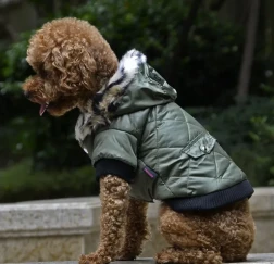 autumn and winter fur collar coat pet dog clothing