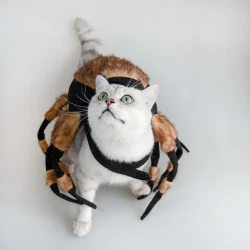 Halloween Pet Cat Dog Spider Costume Cool Cosplay