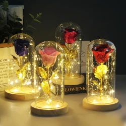 Eternal Rose Flowers LED Light In Glass Cover