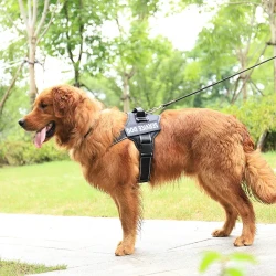 Strong Pet Chest Strap