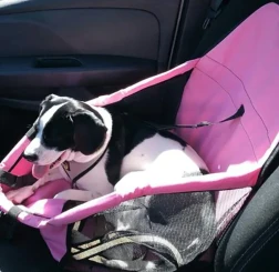 Waterproof Dog Carrier Seat