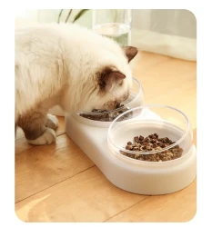 Pet Automatic Feeder With Water Fountain