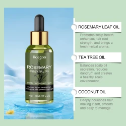 Rosemary Hair Care Oil Nourishes Moisturizing Repair