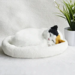 Decoration Creative Birthday Gifts Creative Gifts Crafts Cats That Breathe