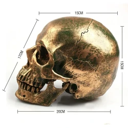 Halloween resin skull