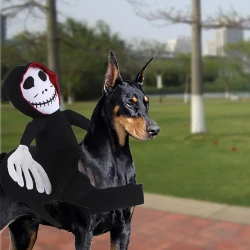 Pet Halloween Costume Halloween