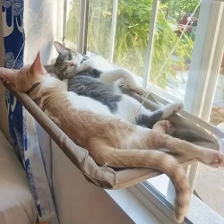 Ultra-Soft Cat Window Hammock Bed