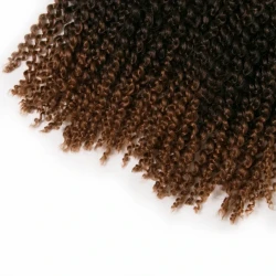 African wig short curly hair