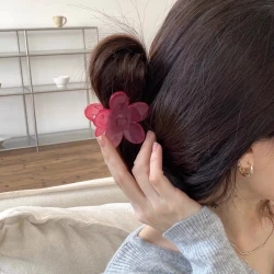 Transparent Girl Lovely Hair Ornaments